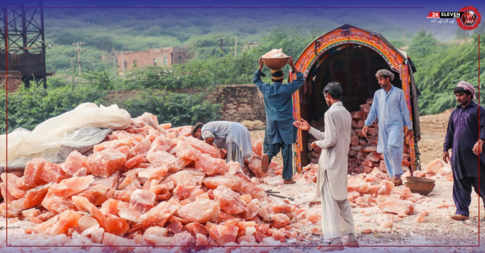 salt industry