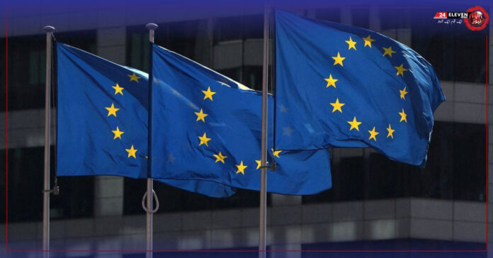 The EU will not deploy a complete election observation mission to the polls on February 8th